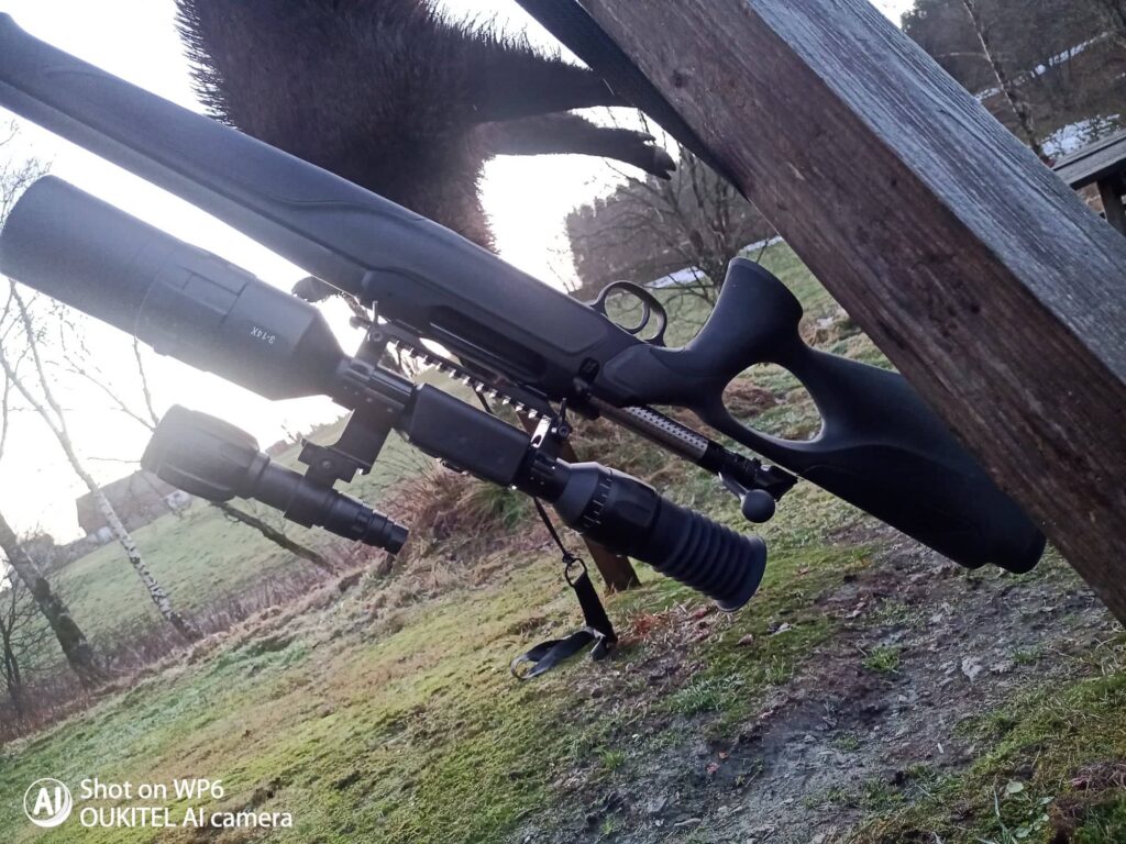 Natsigter har øget afskydningen af vildsvin i Sverige. Bestanden falder nu...