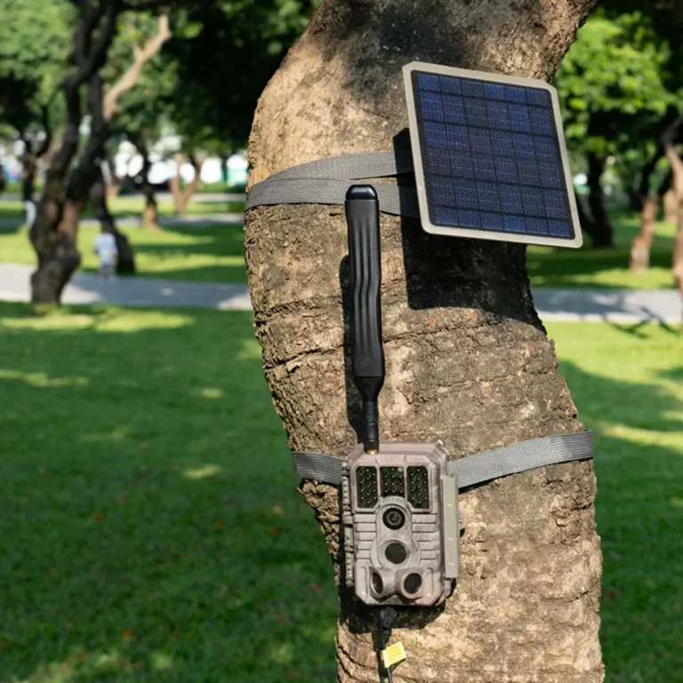 vildtkamera til jagt