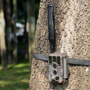 vildtkamera til jagt